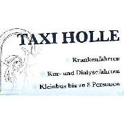 Taxi Holle GbR Matthias & Anika Holle - LOGO