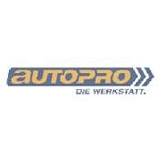 Thomas Drewicke KFZ-Service-Handel - LOGO