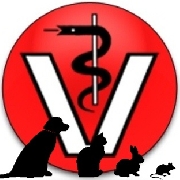 Logo - Tierarztpraxis vier Pfoten, Herne