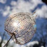 Trauerbegleitung Geerds - LOGO