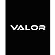 Valor Dominik Wilhelm Onlinemarketing Agentur - LOGO