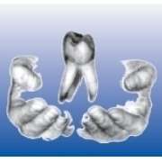 W.M.F.- Dental GmbH & Co.KG - LOGO