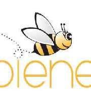 Logo - Webbienes Webdesign, Hameln