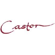 Wein- u. Sektgut Castor/ Gästehaus - Weinstube - LOGO
