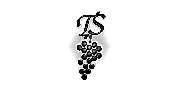 Weingut & Gästehaus Thomas Schwibinger - 24