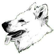 Weisse Schäferhunde Zuchtverband e.V. - LOGO